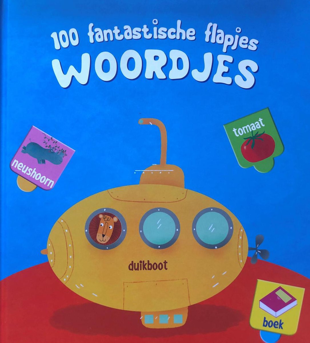 100 fantastische flapjes Woordjes / 100 fantastische flapjes