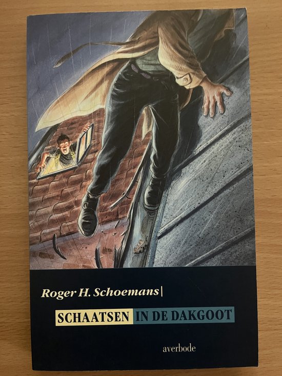 Schaatsen in de dakgoot / Top-roman