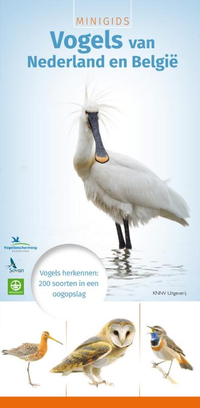 Minigids Vogels van Nederland en Belgie