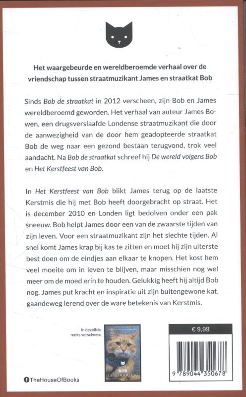 Het kerstfeest van Bob achterkant