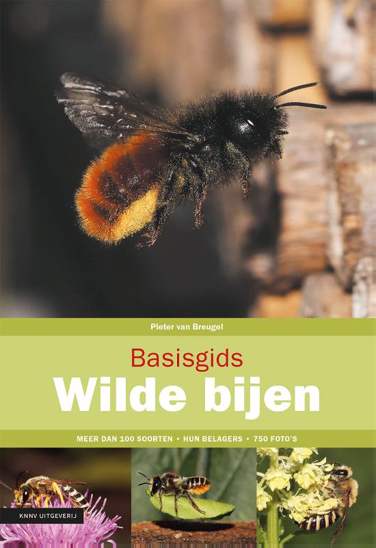 Basisgids wilde bijen / Basisgids