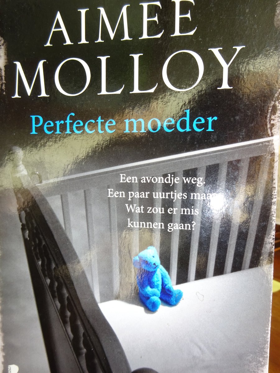 Perfecte moeder