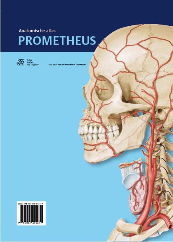 Prometheus anatomische atlas  -   Hoofd, hals en neuroanatomie achterkant