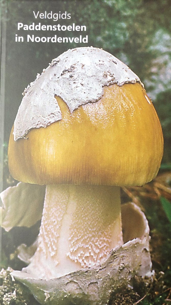 Veldgids Paddenstoelen in Noordenveld