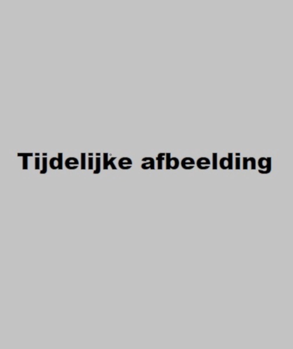 1 Feminisme en politieke macht