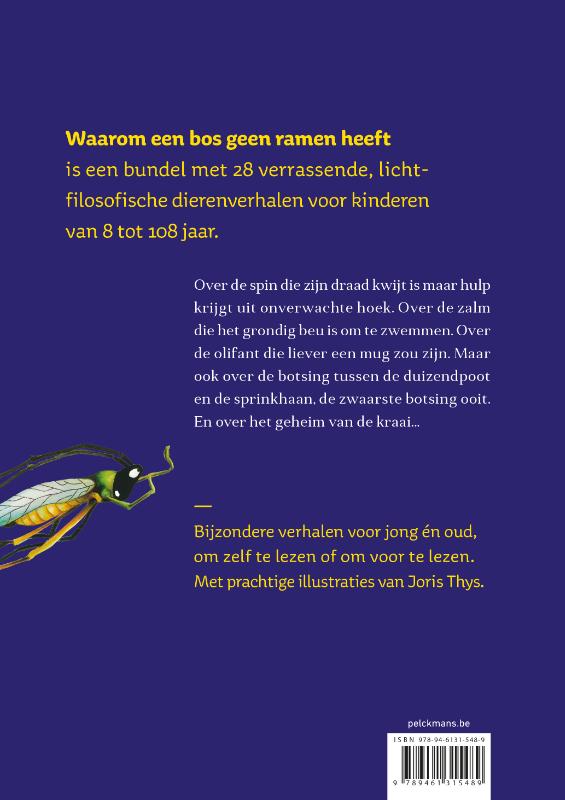 Waarom een bos geen ramen heeft achterkant