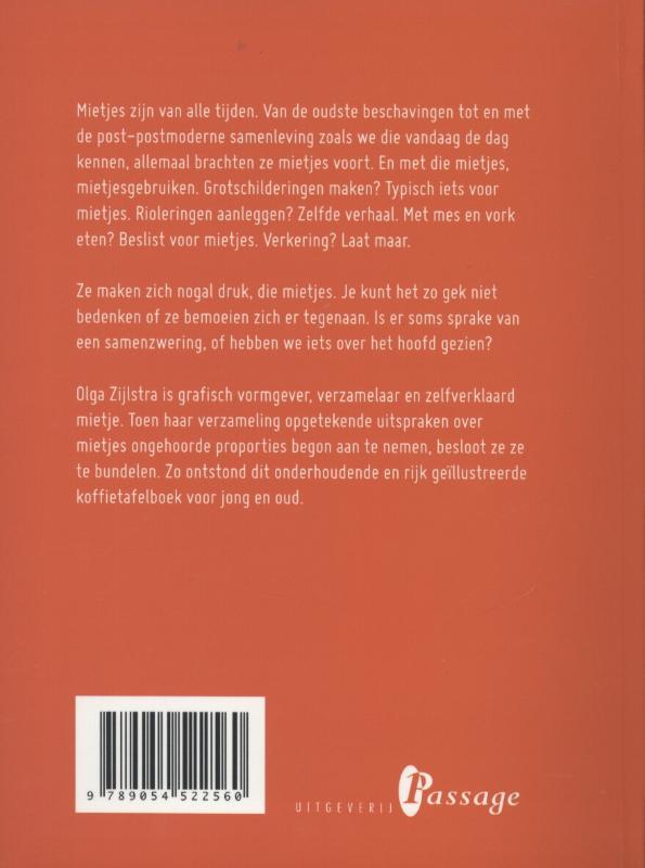 Handboek voor mietjes achterkant