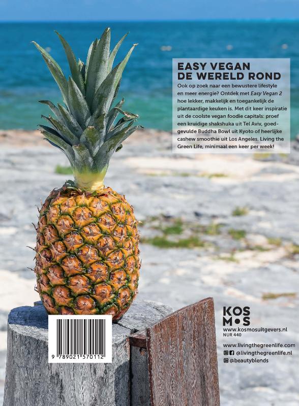 Easy Vegan 2 achterkant