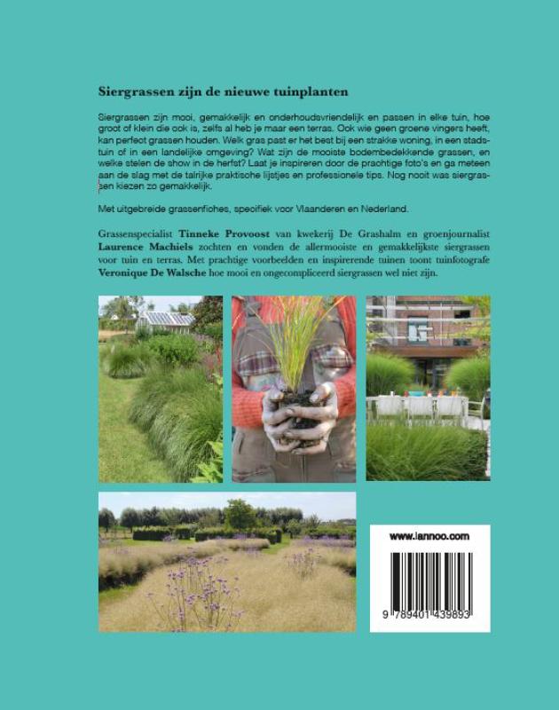 De mooiste grassen voor de tuin achterkant