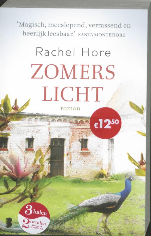 Zomers Licht