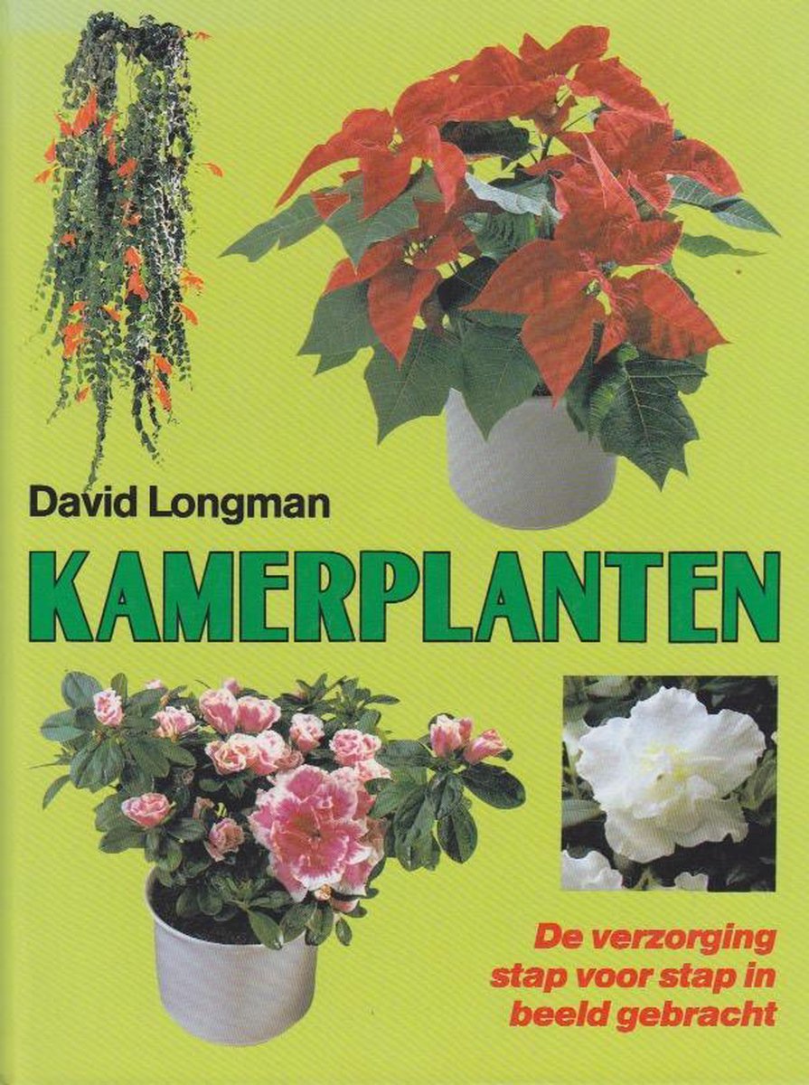 Kamerplanten