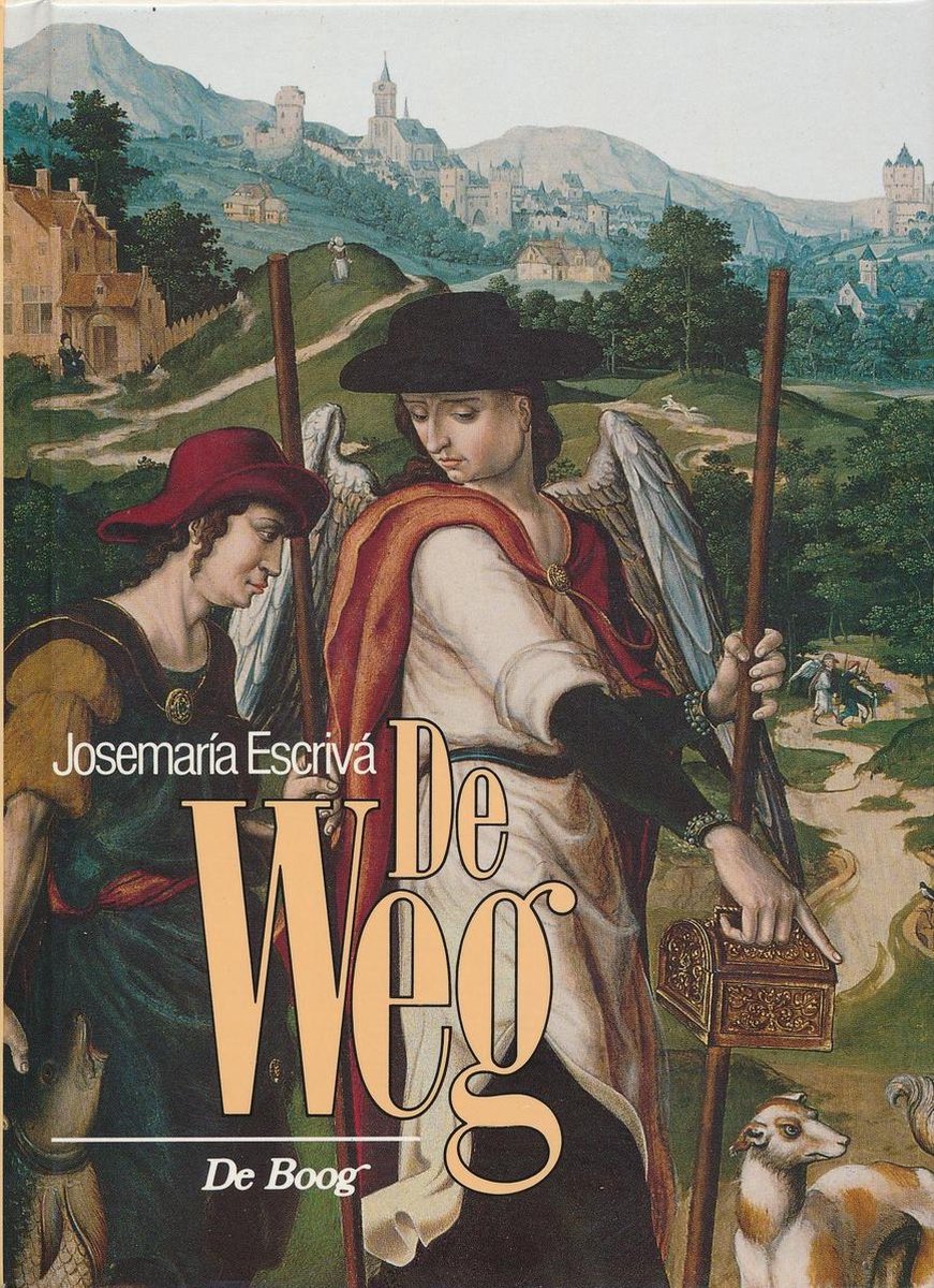 De weg