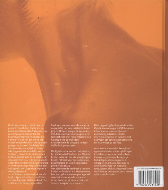 Anatomie in vivo van het bewegingsapparaat achterkant