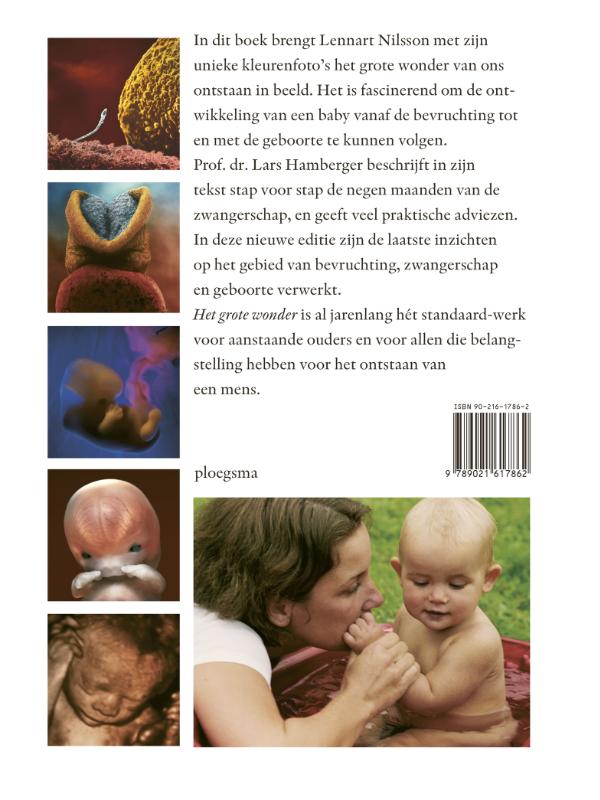 Het grote wonder achterkant