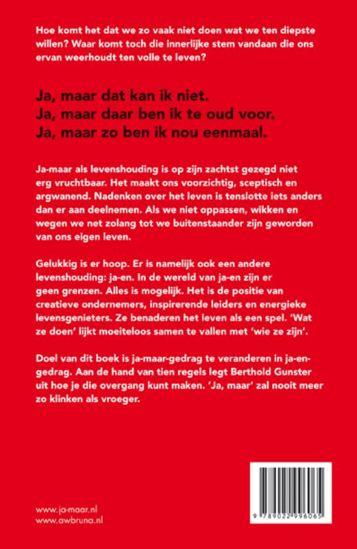 Ja-maar wat als alles lukt? achterkant