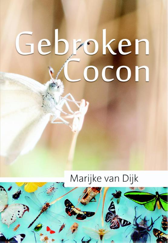 Gebroken cocon / Vlinderdans / 1