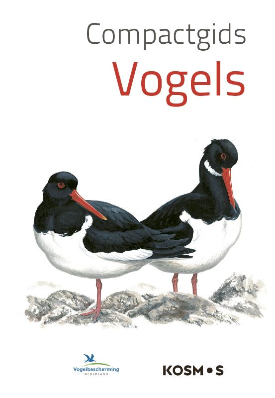 Compactgids Vogels / Compactgidsen natuur