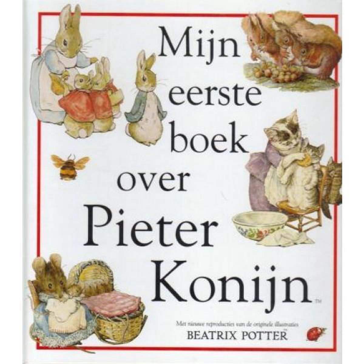 MIJN EERSTE BOEK PIETER KONIJN