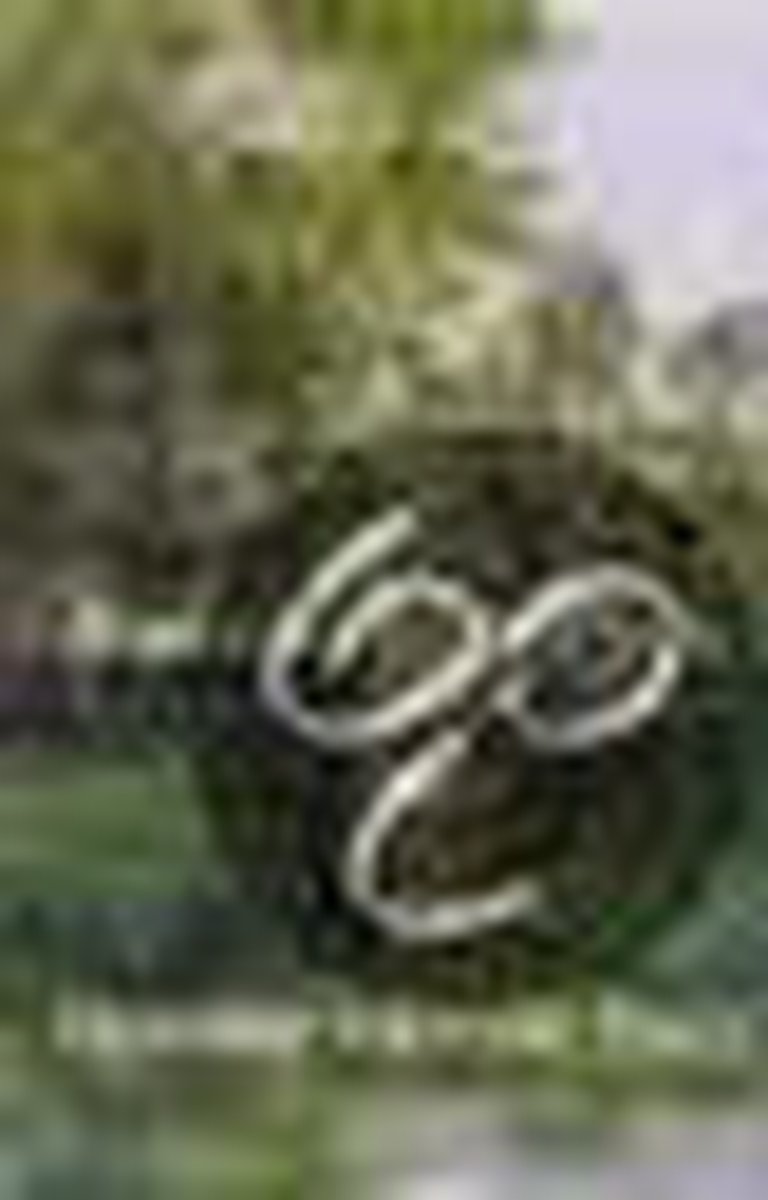 Buiten De Perken Geb