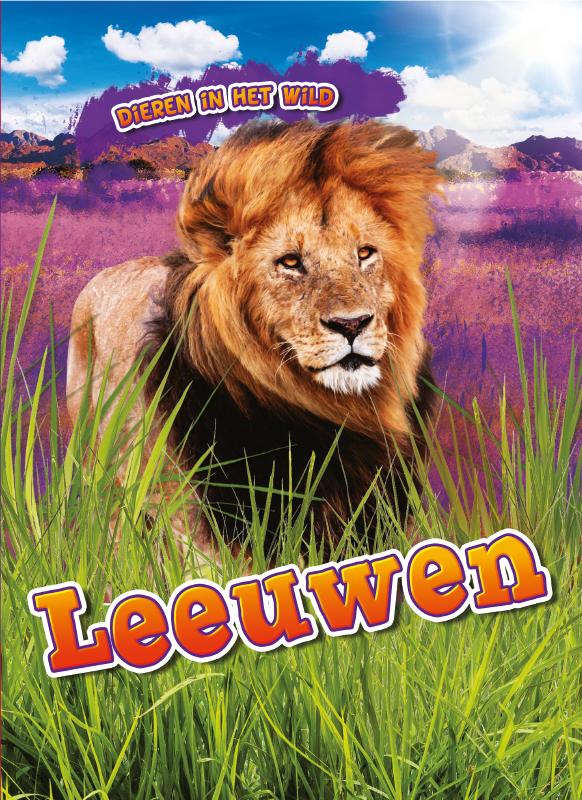 Leeuwen / Dieren in het wild
