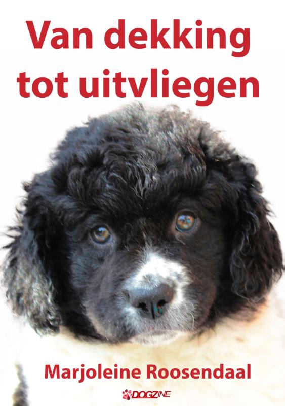 Van dekking tot uitvliegen