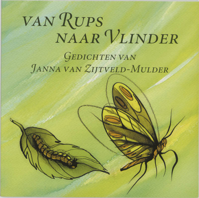 Van Rups Naar Vlinder