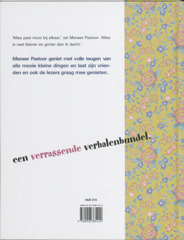 Een Mooie Verrassing achterkant