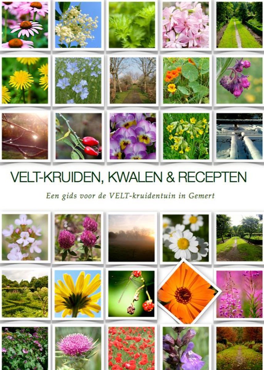 Velt-Kruiden, Kwalen en Recepten - Gids voor de VELT-kruidentuin in Gemert