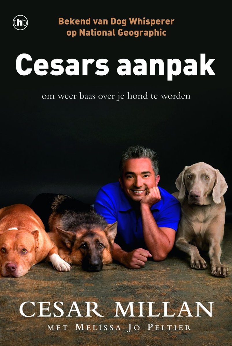 Cesars aanpak