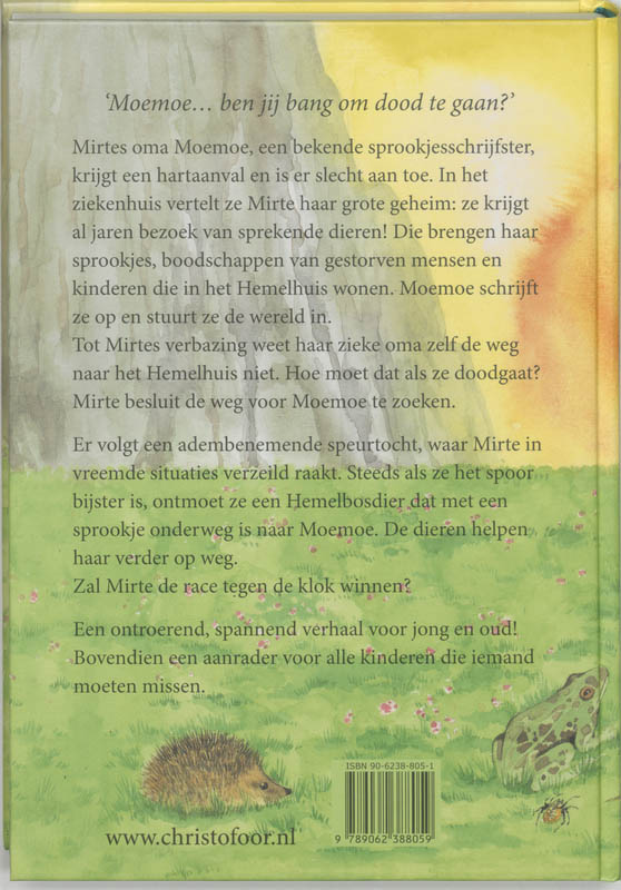 Het pad van de regenboog achterkant