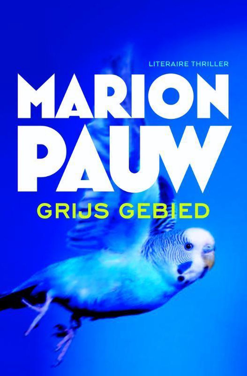 Grijs gebied. - Marion Pauw