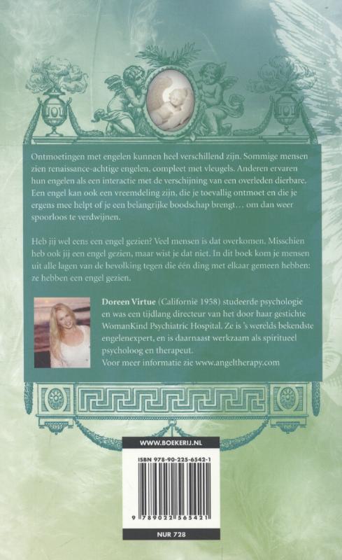 Ontmoetingen met engelen achterkant