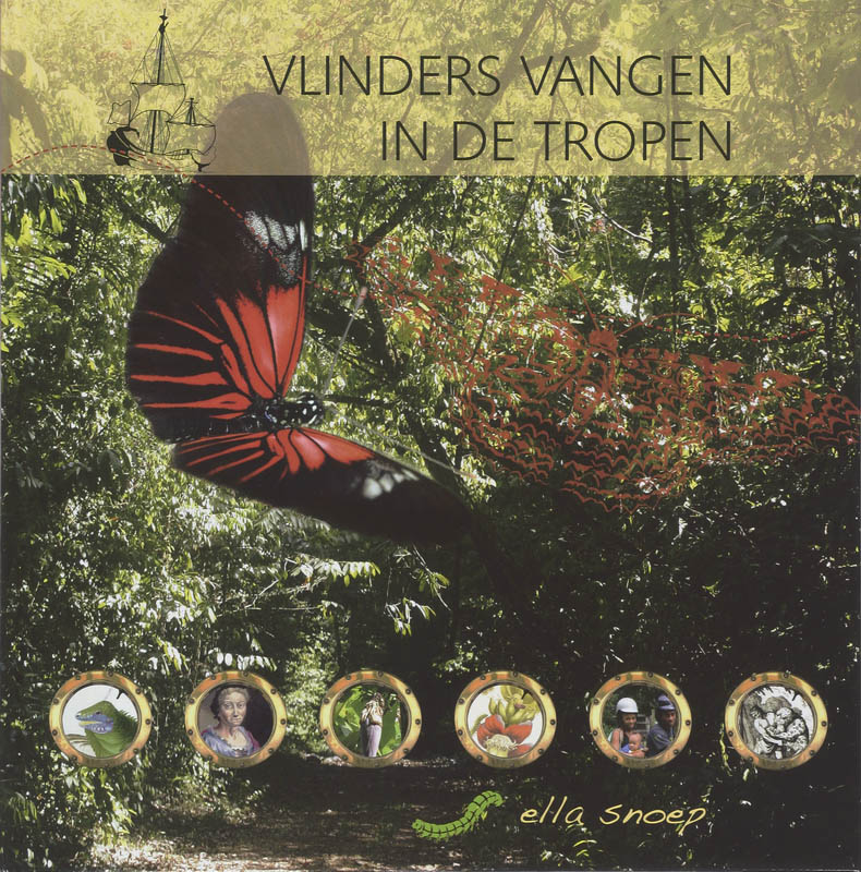 Vlinders vangen in de tropen