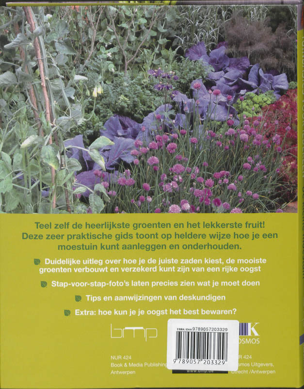 De kleine moestuin achterkant