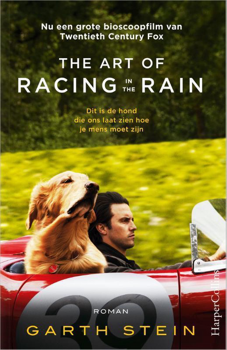 The Art of Racing in the Rain
