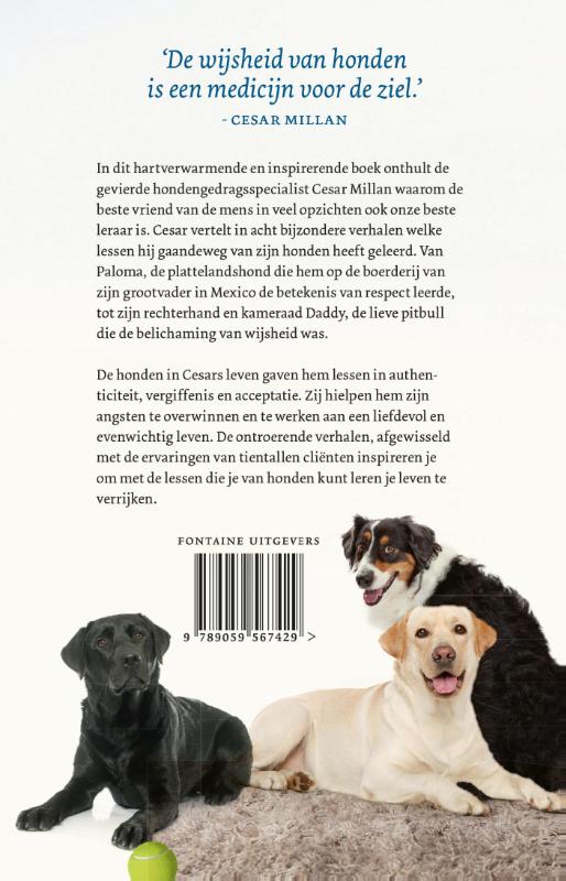 Wat honden ons leren achterkant
