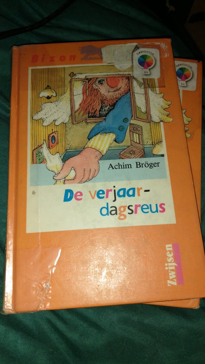 Verjaardagsreus / Bizon boek