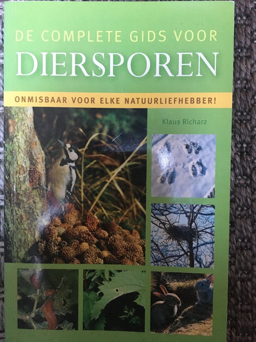 Mantled with Authority