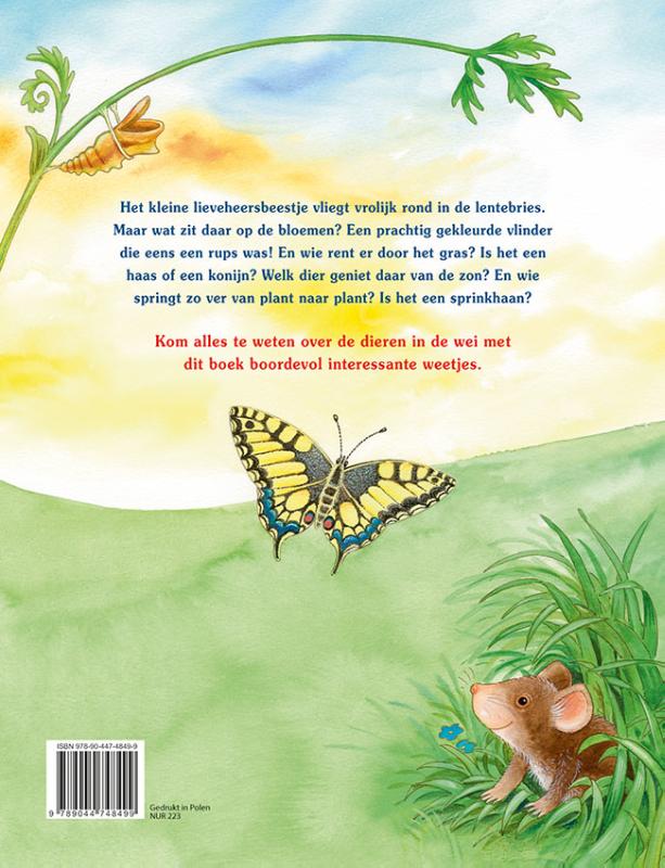 Het kleine lieveheersbeestje en de dieren in de wei achterkant