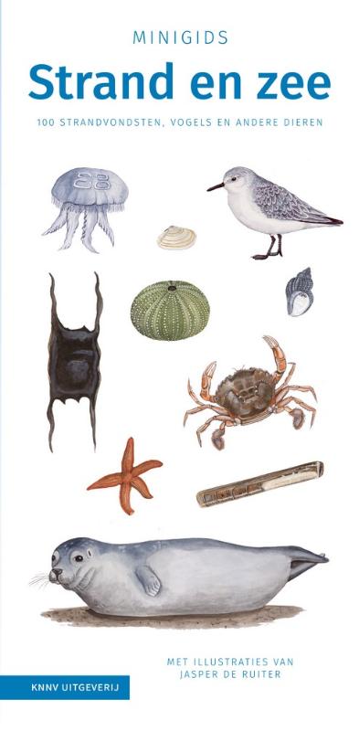 Minigids  -   Minigids Strand en zee