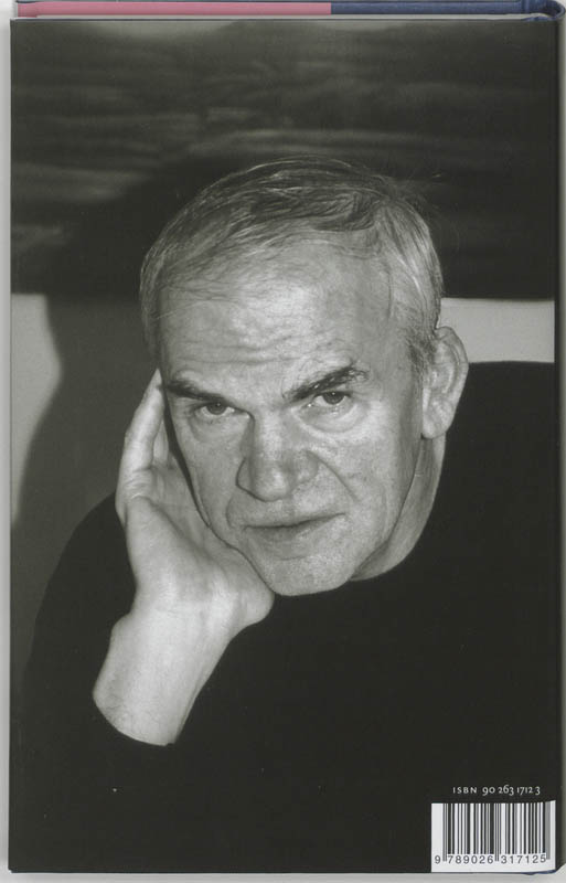 De kunst van de roman achterkant