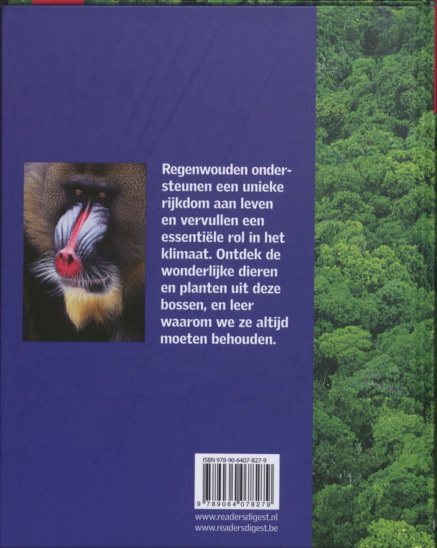 Regenwouden / Macht en Kracht van de Natuur / 8 achterkant