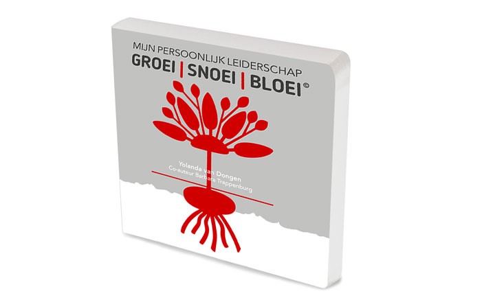 Mijn persoonlijk leiderschap