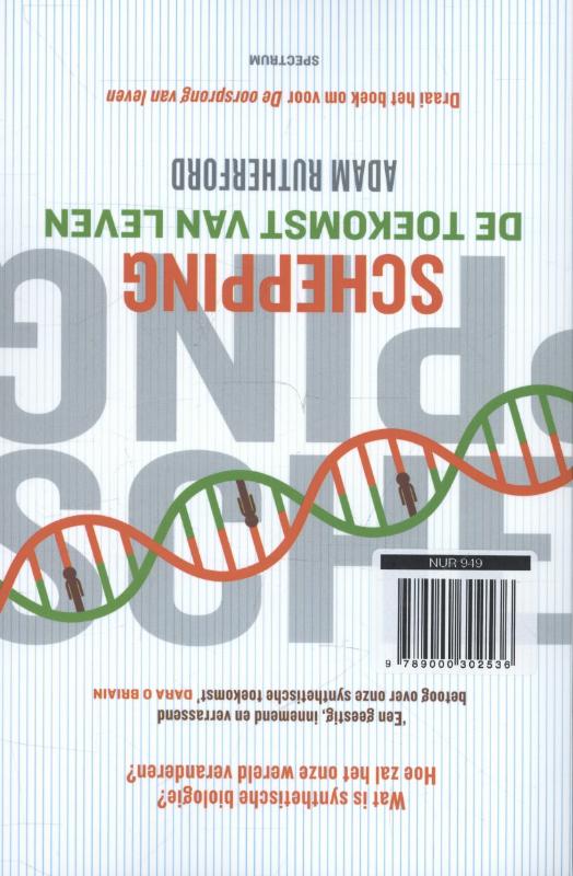 Schepping achterkant