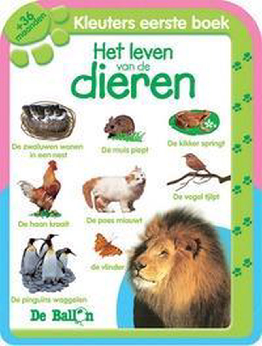 Allereerste Stapjes Het Leven Van De Dieren