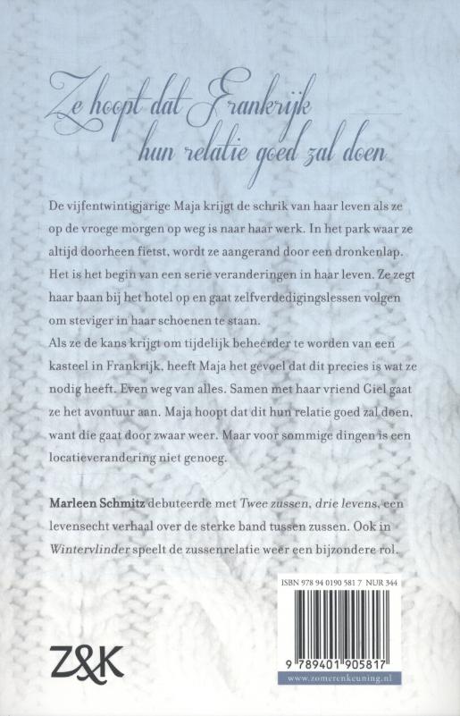 Wintervlinder achterkant