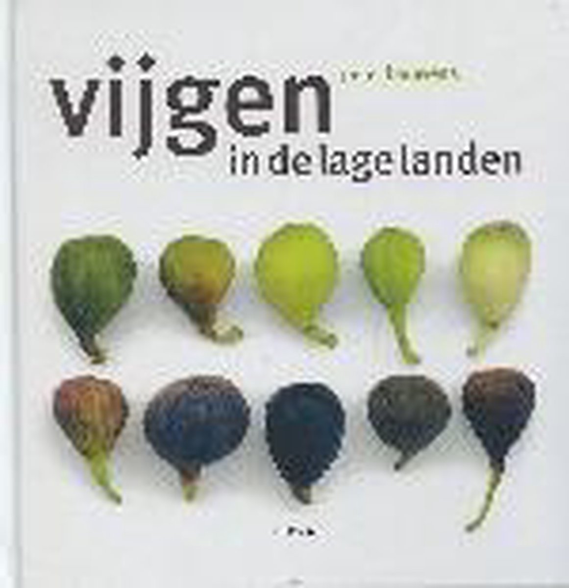 Vijgen In De Lage Landen