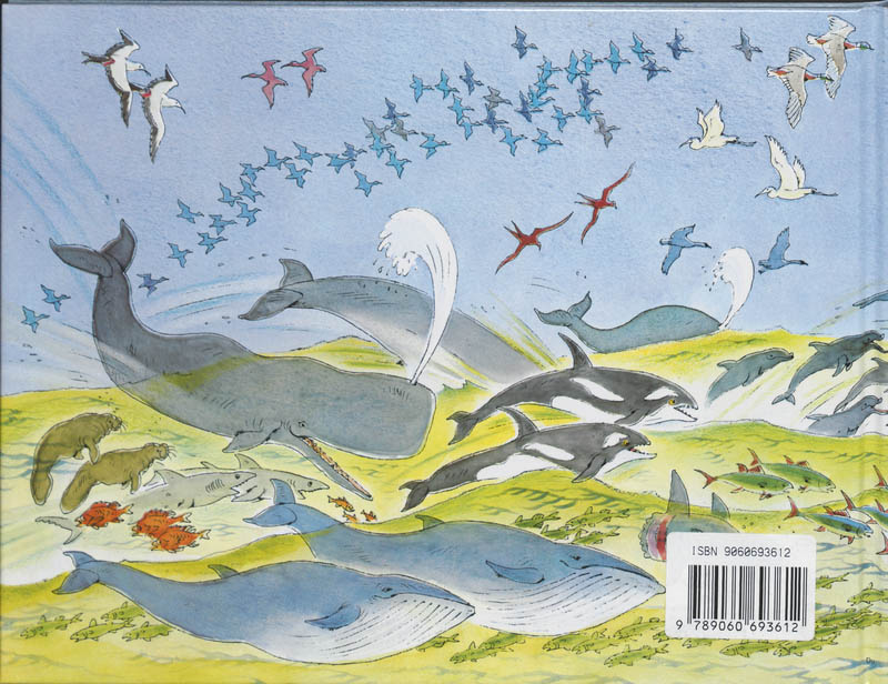 De ark van Noach achterkant