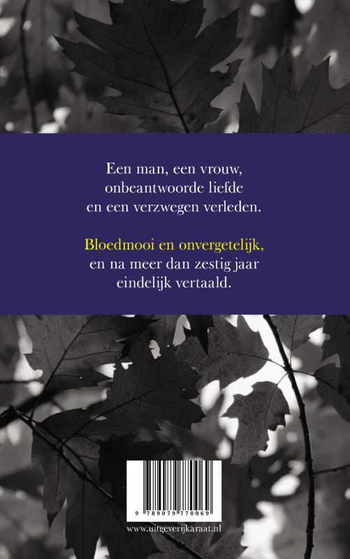 Het grote vuur achterkant