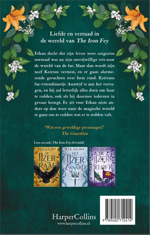 De duistere fae / The Iron Fey / 6 achterkant